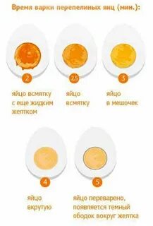Яичный скольки месяцев можно
