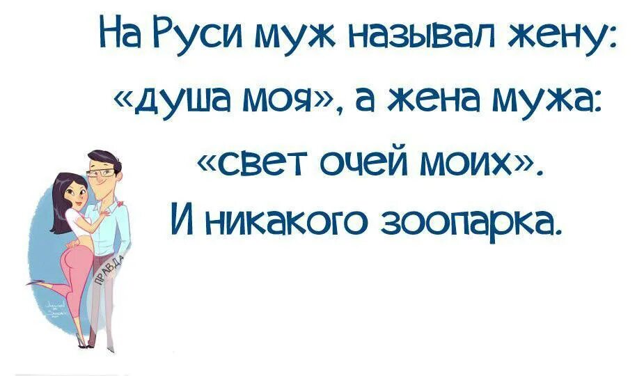 муж и жена цитаты. стихи. мужчина и женщина цитаты. смешные цитаты про мужа и жену. смешные тексты.
