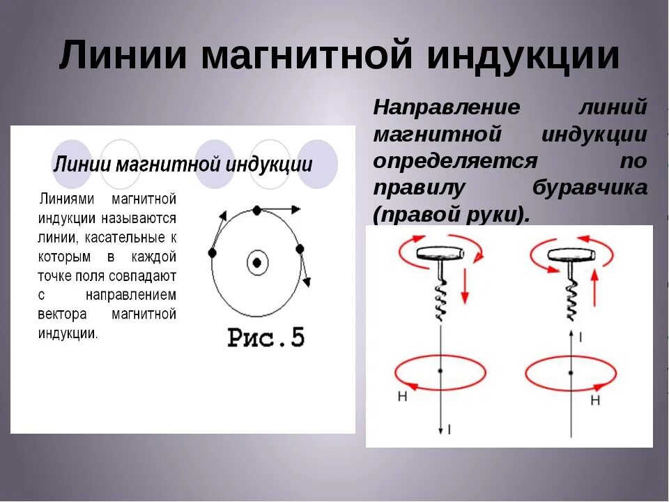 Какой существует способ определения направлений магнитных. Как найти куда направлены линии магнитной индукции. Направление линий и вектора магнитной индукции. Направление линии индукции магнитного поля определяется по правилу. Как определить направление линий магнитной индукции.