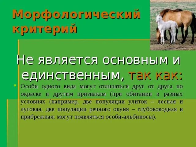 Морфологический критерий не может быть единственным