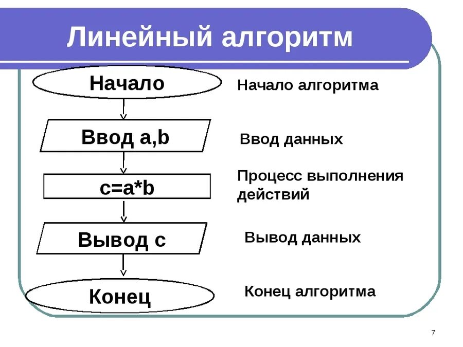 Алгоритмы в профессиональной области. Линейный алгоритм примеры Информатика. Линейный алгоритм примеры линейных алгоритмов. Линейный алгоритм Информатика 8 класс. Общий вид блок-схемы линейного алгоритма.