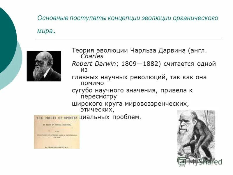 Теория органического развития. Теория эволюции Дарвина. Постулаты Дарвина.