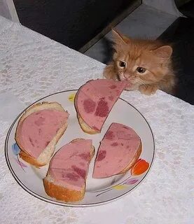 Кушаешь картинки смешные