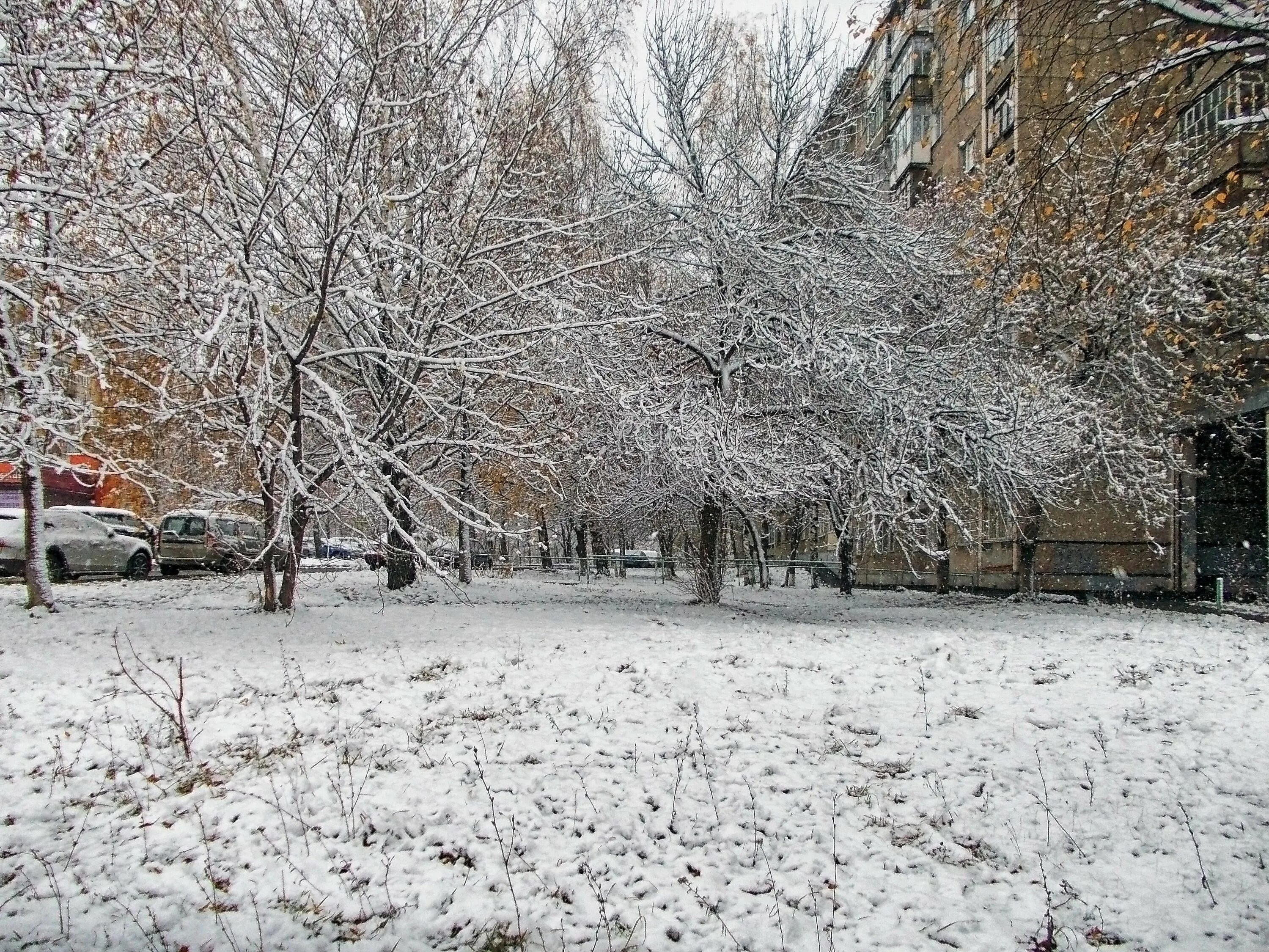 Первый снег герои. Первый снег в городе. Первый снег Ижевск. Снег в Ижевске. Ижевск осень первый снег.