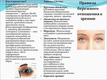 Веки защищают от