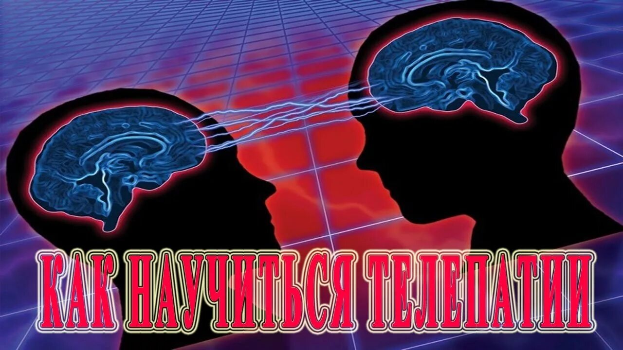 Телепатия. Чтение мыслей. Как научиться телепатии. Как читать мысли людей. Учимся читать мысли