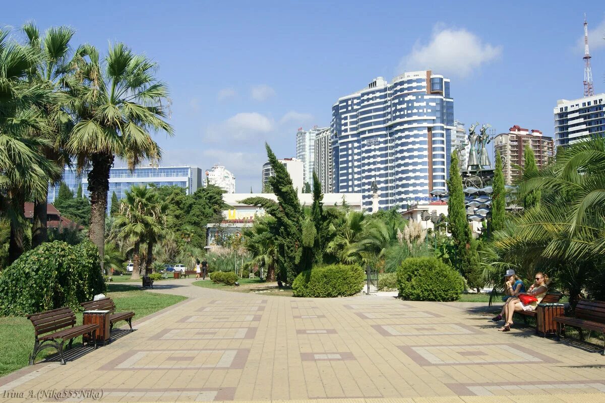 сочи улицы у моря. набережная города сочи. сочи. сочи улицы у моря. сочи парк навагинская.
