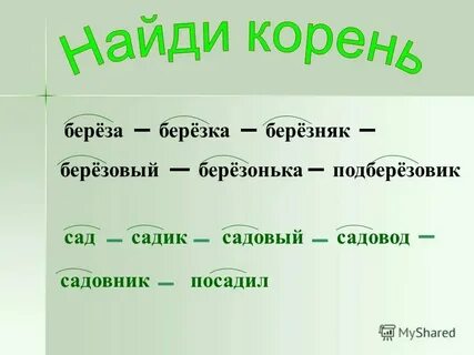 Шутка березняк