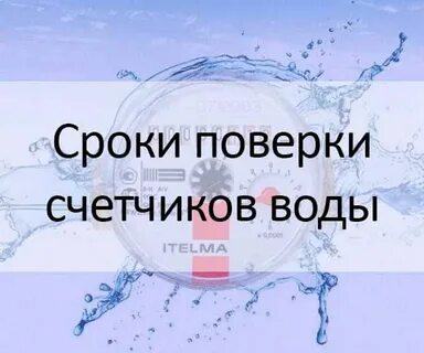 Срок вод