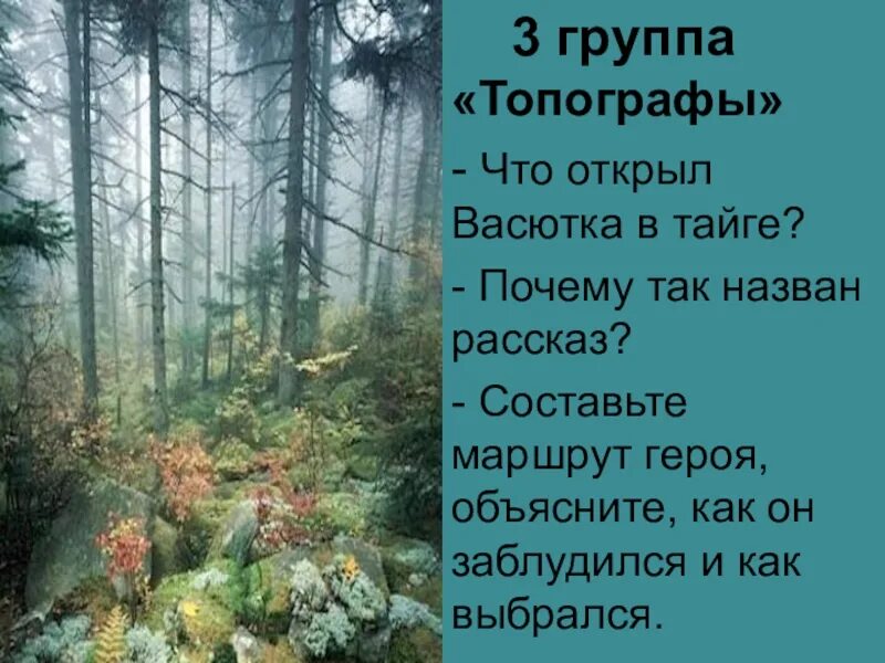 Почему удивился васютка увидев в озере. Васютка в тайге. Васютка заблудился в тайге. Что открыл Васютка в тайге. Васюткино озеро.