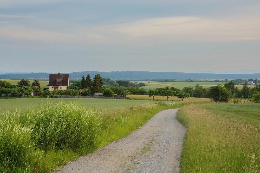 Село просторе. Деревенские просторы село Реткино Рязань. Деревенские просторы село Реткино. Картинки сельских просторов. Воронежская область сельские просторы.