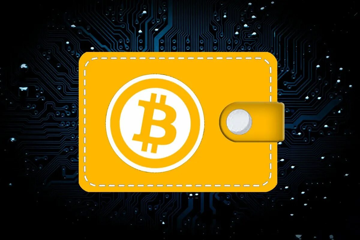 Холодный крипто кошелек для криптовалюты. Холодный криптокошелек. Криптокошелек биткоин. Крипта кошелек. Электронные деньги.