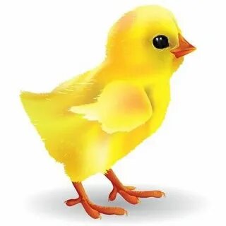 Алдыңғы жағынан трусиканы көрсетеді