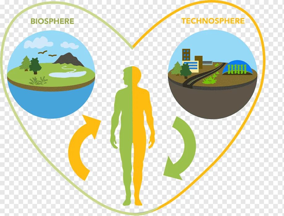 Биосфера и человек. Биосфера и человек рисунок. Среда обитания человека. Среда обитания человека рисунок.