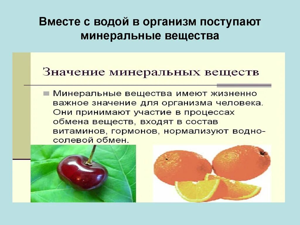 Роль и обмен воды. Минеральные вещества в организме. Поступление Минеральных веществ в организм. Обмен Минеральных веществ в организме. Роль воды и Минеральных веществ в организме.