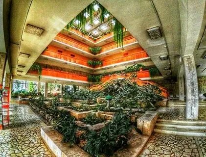 Институт субтропических культур