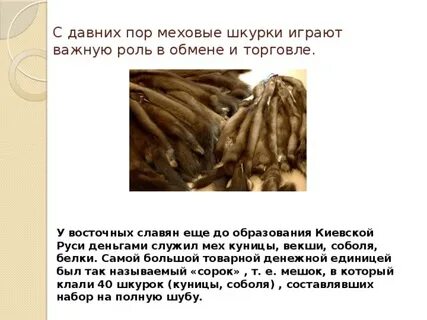 Что выполняло роль денег в славянских племенах