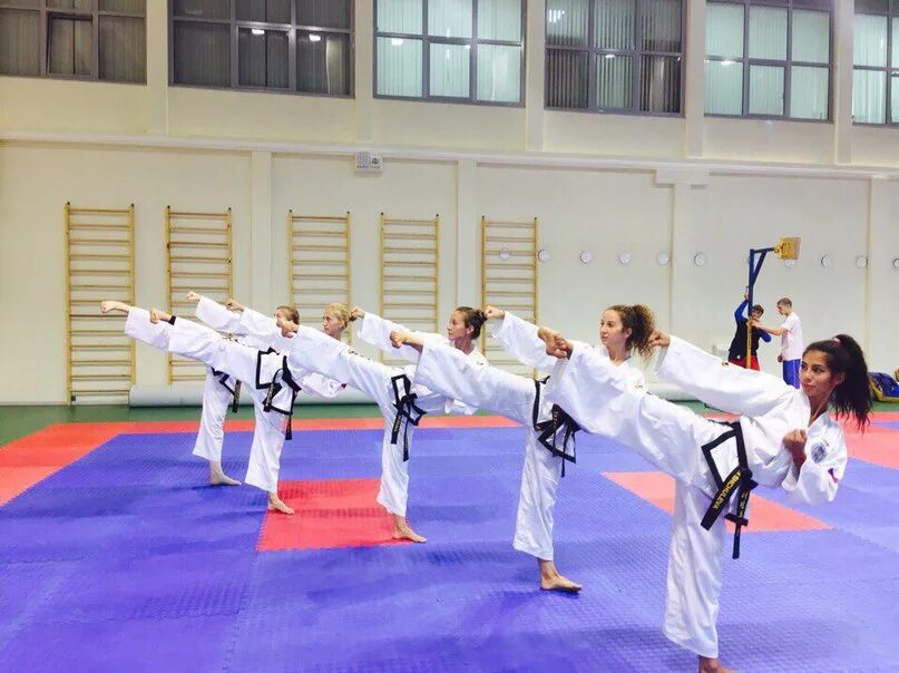 Тули в тхэквондо. Туль хваранг тхэквондо итф. Туль в тхэквондо. Станок для спецтехники тхэквондо. Тангун туль тхэквондо итф.