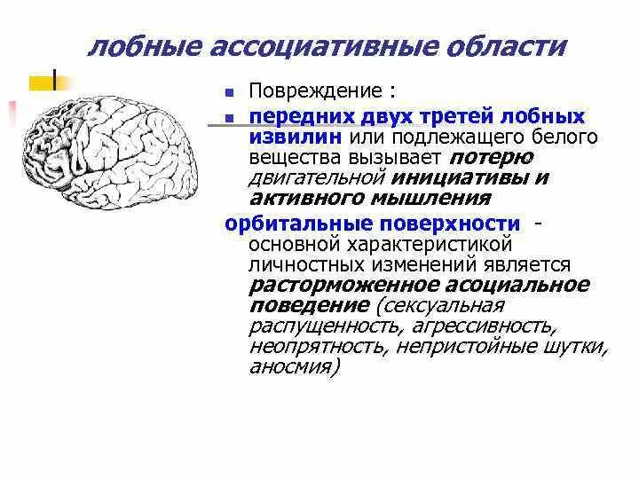 Поражение лобной доли головного мозга. Поражение переднего отдела лобной доли. Синдромы поражения лобных долей мозга. Височная функция мозга