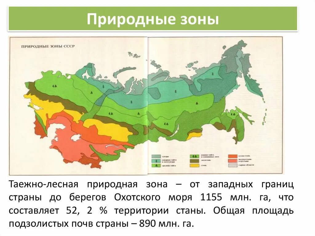 Название природных зон района