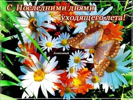 Последние выходные лета пожелания