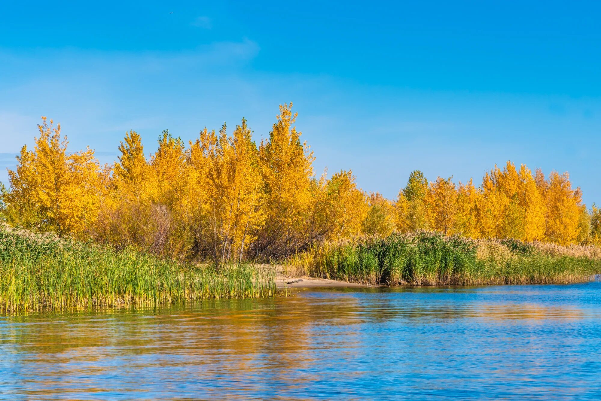Реки россии осенью. Пейзаж осени. Осень река. Осенняя река. Природа осень.