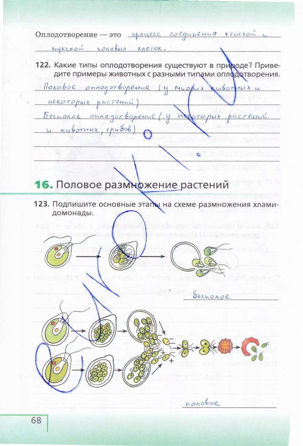 Рабочая тетрадь с белочкой. Растительная клетка 6 класс биология сонин. Биология сонин 6 класс 7 параграф. Биология 6 класс рабочая тетрадь сонин номер 54. Биология шестой класс рабочая тетрадь гдз сонин.