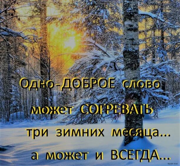 Через три через три зимы