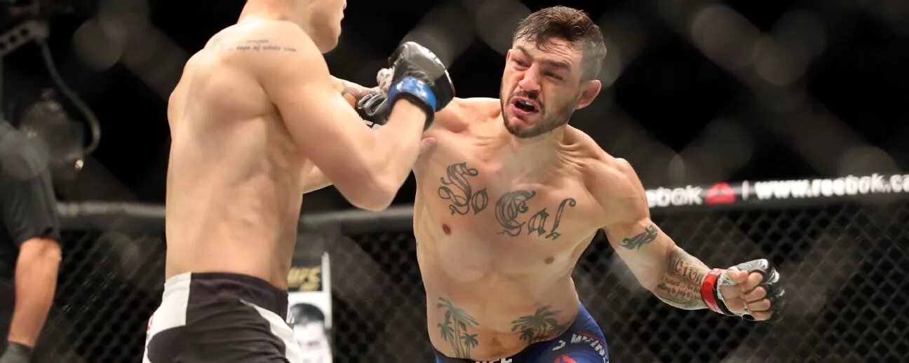 Каб свонсон. Cub swanson. Cub swanson. Свонсон фото. Каб свонсон.