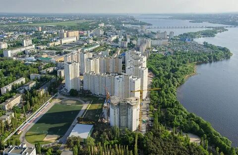 Дельфин воронеж фото
