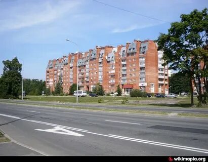 Ул сосновый бор