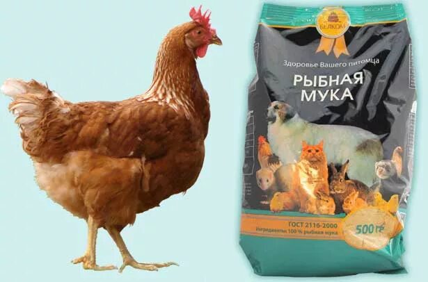 Как давать курам рыбную муку. Рыбная мука для кур. цветная мука для курицы. рыбная мука курам как давать. можно ли курам дубовые галлы.