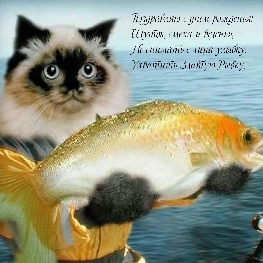 Рыбы поздравление с днем рождения. Рыбка поздравляет с днем рождения. Открытки с днём рождения с рыбками. Кот дарит золотую рыбку.