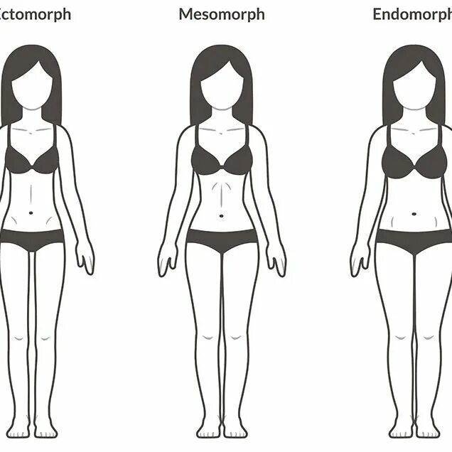 Мезоморфный Тип телосложения. Типы фигур у женщин. Тип фигуры эктоморф. Типы телосложения у женщин. Девушка субтильной конституции