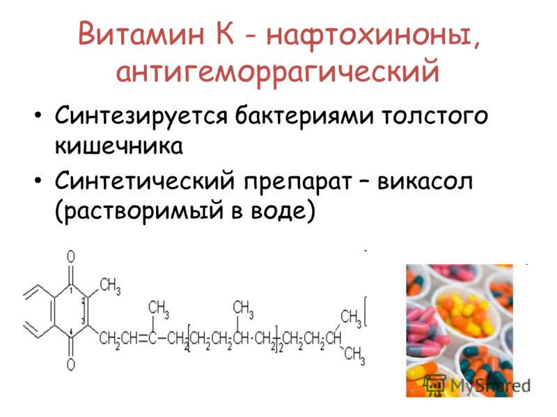 какой витамин не синтезируется микрофлорой кишечника. основные функции толстого кишечника. толстый кишечник микрофлора. бактерии в толстом кишечнике синтезируют витамины. перечислите функции нормальной микрофлоры.