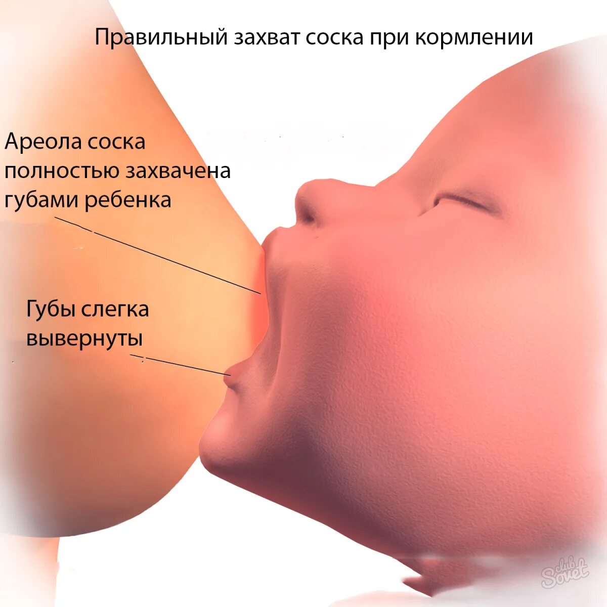 Лет сосание. Правильное прикладывание ребенка при грудном вскармливании. Правильный захват груди. Правильное прикладывание к груди. Правильный захват груди ребенком.