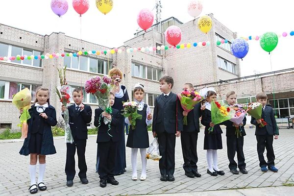 Школа 289. Школа 289 москва. 289 школа в санкт петербурге. Школа интернат 289. Заозёрск мурманская область школа.