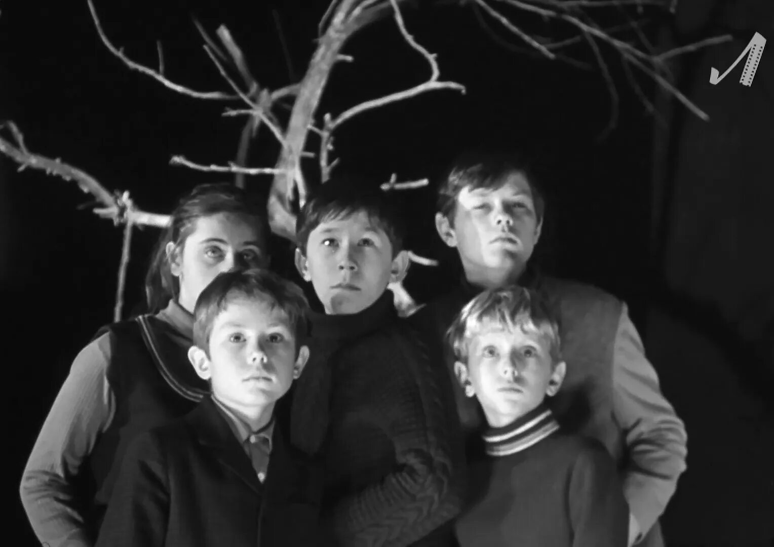 их там пятеро. их там пятеро. комедия про 4 друзей. фильм про пятеро подруг. их там пятеро.