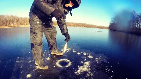 Точная погода щучья