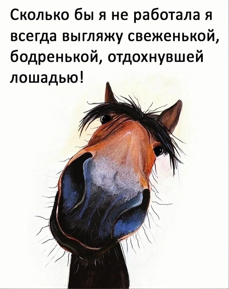Про лошадь и работу. Лошадь работает. уставшая лошадь. поговорка про лошадь и председателя. в колхозе работала лошадь.