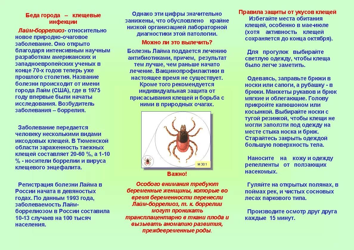 Защита от укусов клещей. Клещи иксодовые клещевой энцефалит. Буклеты и памятки клещевой энцефалит. Клещевой боррелиоз брошюра. Памятка в ДОУ клещевой энцефалит.