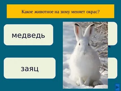 Какое животное меняет