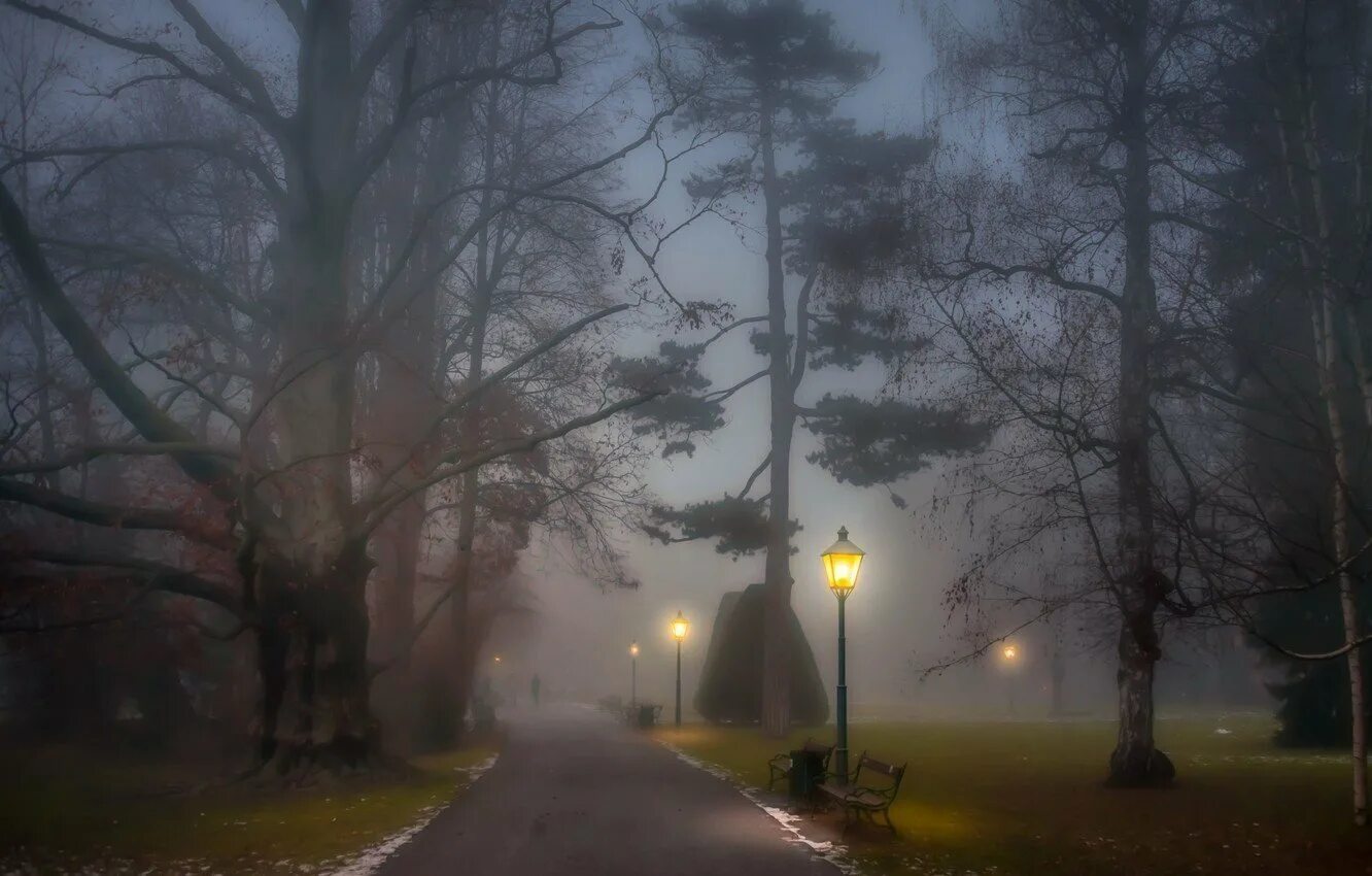 Туман романтика. Город в тумане. Фонарь в тумане. Туман в парке. Осенний туман в городе.