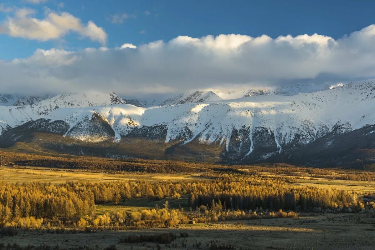 Верхоянский низменность. Верхоянский низменность. Верхоянский низменность. Верхоянский низменность. Верхоянский низменность.