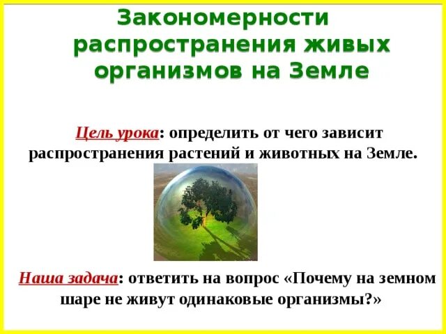 Закономерности распространения живых организмов на земле. Закономерности распределения живых организмов на земле. Закономерности распространения живых организмов на земле 6. Закономерности живых организмов на земле 6 класс. Наука о распространении живых организмов