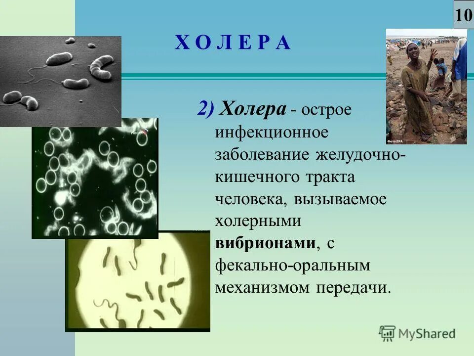 заболевания вызванные микроорганизмами. холера возбудитель инфекции. вызывающие холеру. холерный вибрион болезни. холерный вибрион микробиология.