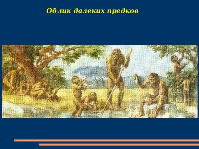 Далекими предками человека были. Облик далеких предков. Облик наших далеких предков. Облик далеких предков 5 класс. Рассказ о далеких предках..