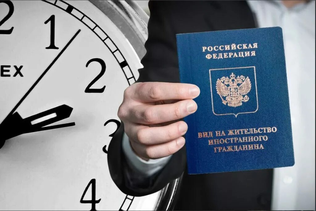 разрешение на временное проживание. вид на жительство через интернет. готовые документы вид на жительство. как проверить готовность внж. рф.