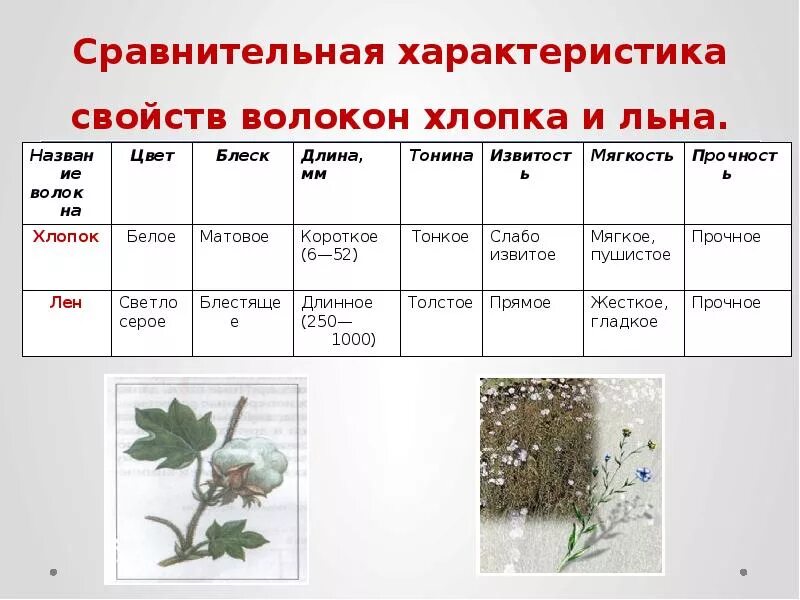 Характеристика хлопковой ткани. Лен и хлопок характеристика. Характеристика хлопчатобумажной ткани. Характеристика хлопка волокна. Особенности хлопка