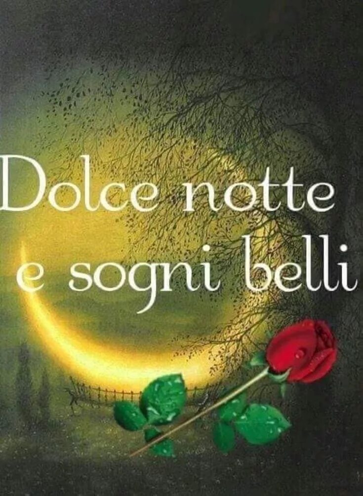 Dolce notte. Dolce notte вино. Dolce notte картинки. Buona notte вино. Картинки buona notte зимние.